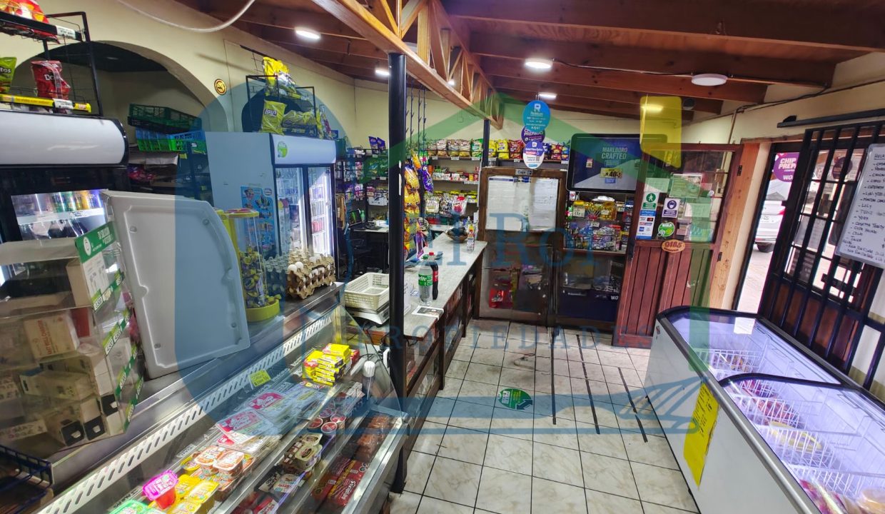 Locales-comerciales-en-venta (3)